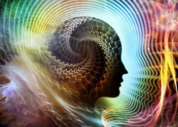 了解社交媒体：数字世界中的人类延伸扩展——莫兹·奥马林