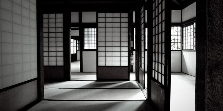 影子——马姆杜·阿卜杜拉